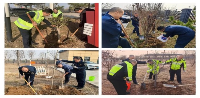 8淄博 (3)-封面.jpg